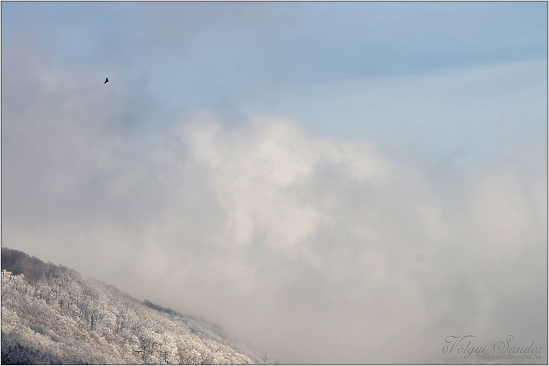Felhőbe burkolózó hegy - 2017. január, Mecsek