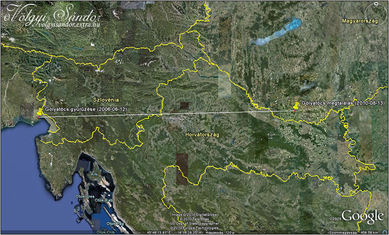 Színesgyűrűs gólyatöcs gyűrűzésének és megfigyelésének helye - 2010.augusztus